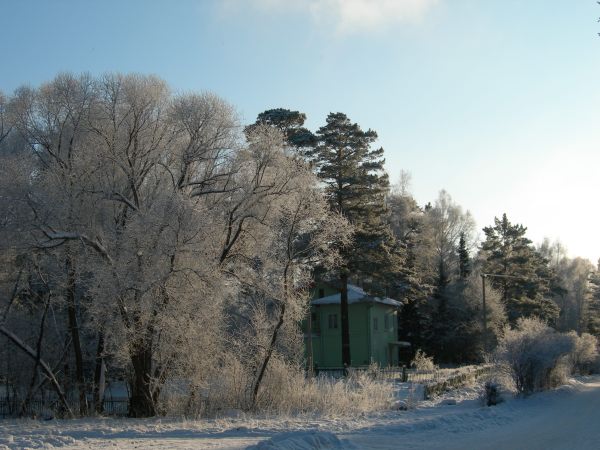 Академгородок, Зима - Домик на Академической, DSCN0495.JPG